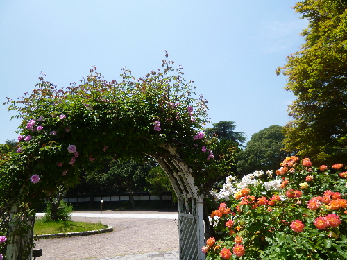 P1100704(1).JPG