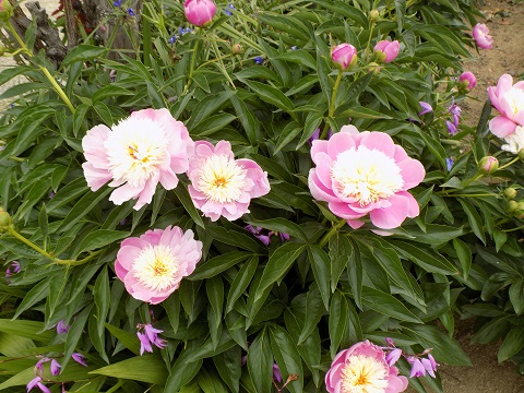 DSCN3811.JPG