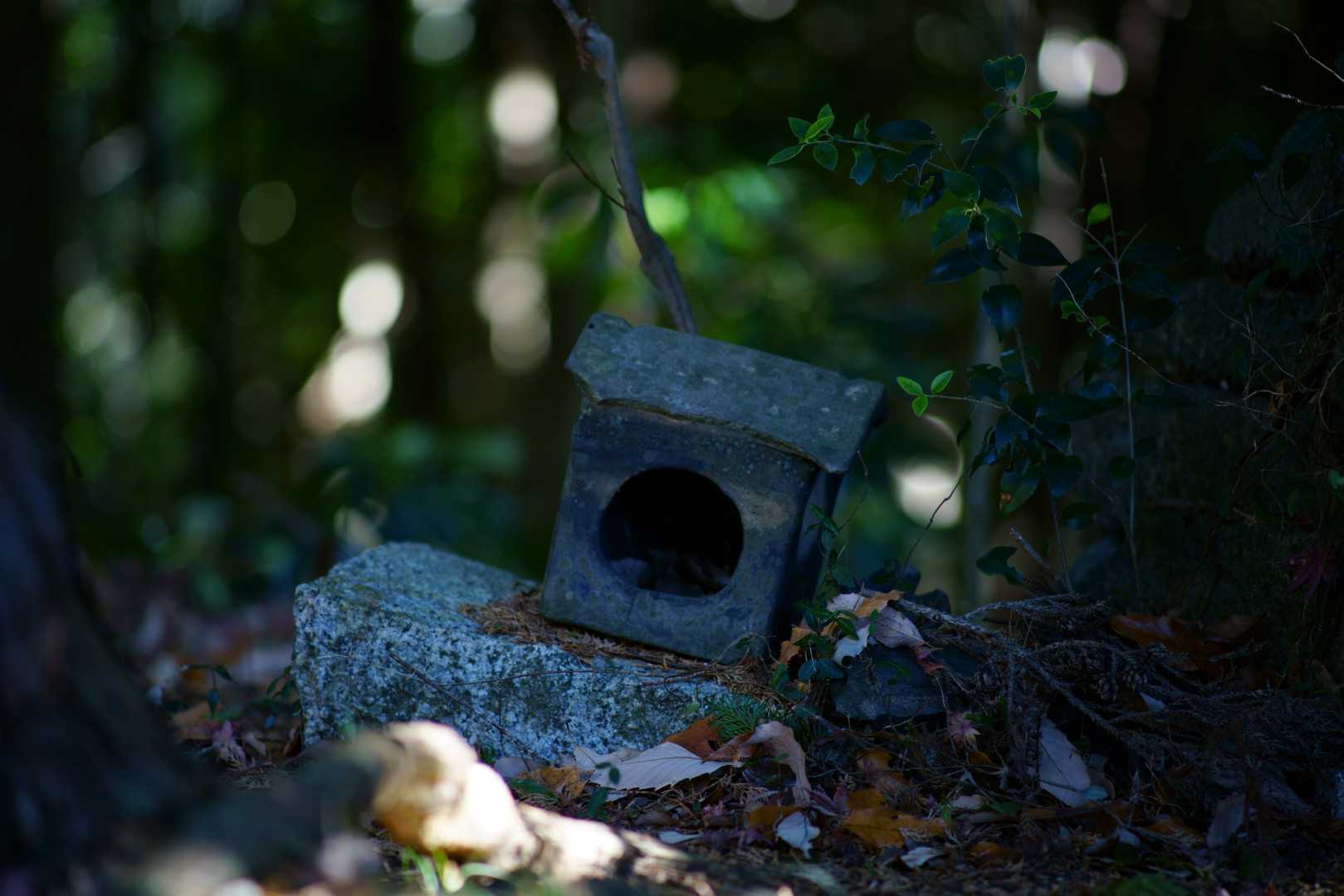 作例あり＞CANON FD 135mm F2.5 S.C Lens Series - Canon FD 135mm f2