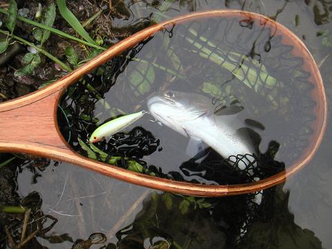 2012.04.30 010.jpg
