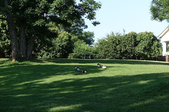 DSC01875rtw.jpg