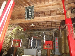 DSC06229.jpg