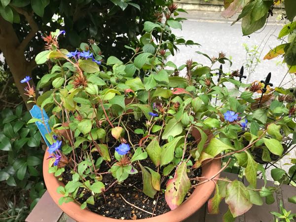 rblog-20180928162019-04.jpg