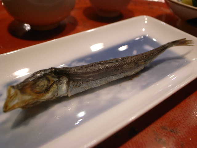 RIMG16290.JPG