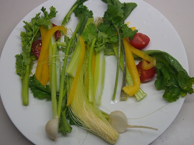 P4010041.jpg