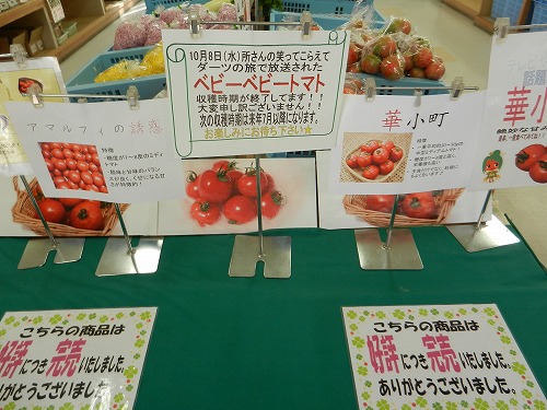 DSCN5100.jpg