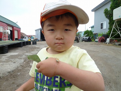 P1070393.jpg