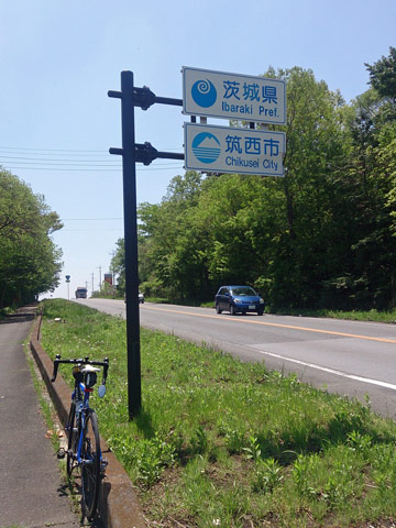r294.jpg