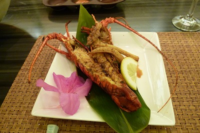 P1050280.jpg