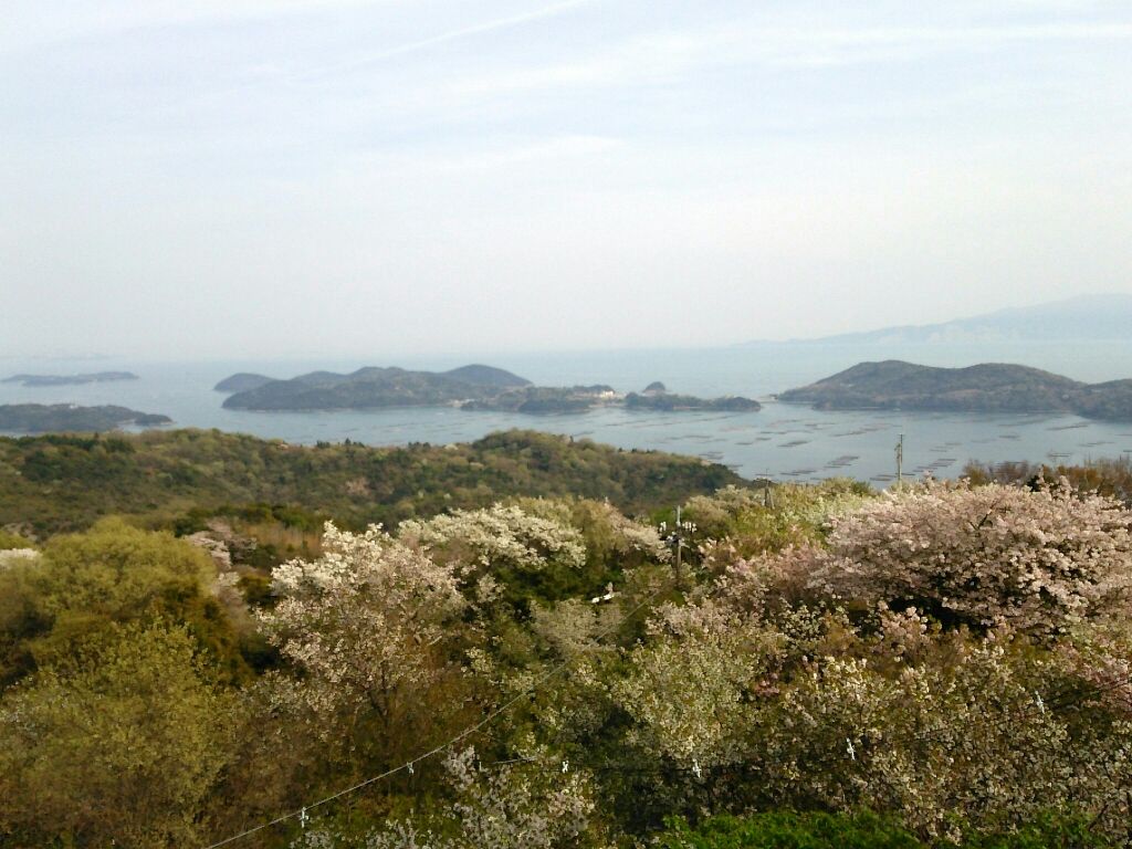 お部屋からの景色
