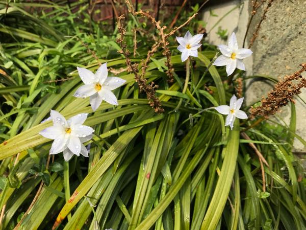 rblog-20190401163305-01.jpg