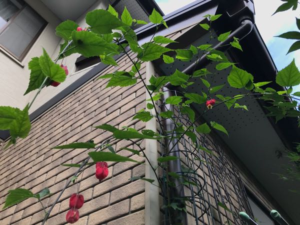rblog-20180628165323-04.jpg