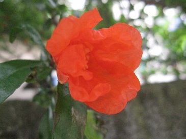 IMG_9151.JPG