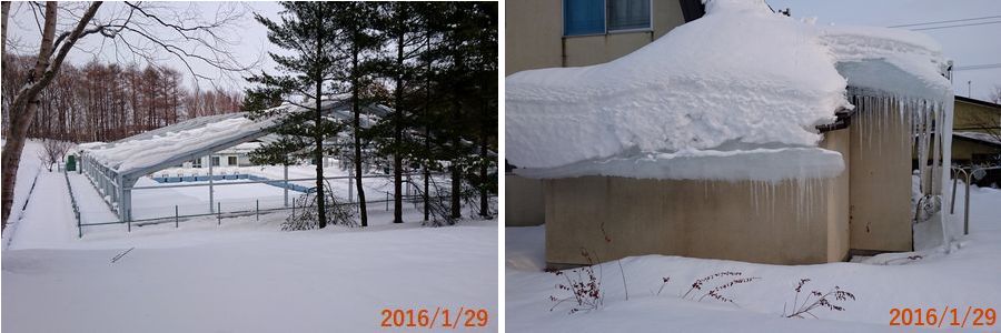 １／２９寒いです.jpg