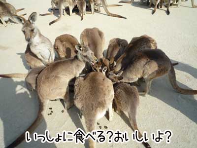 ひびき７.JPG