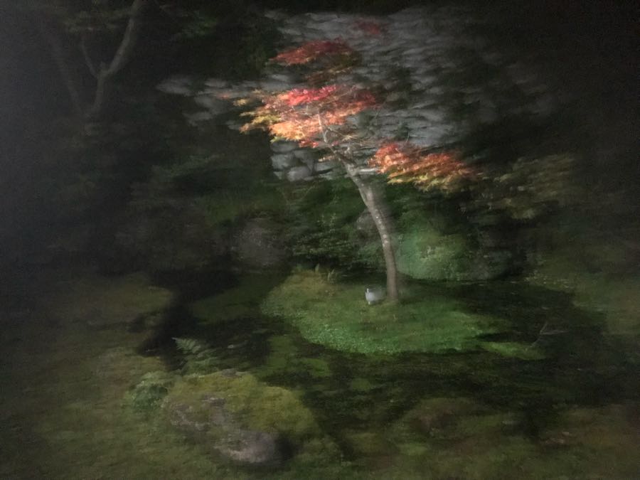 rblog-20181018183105-04.jpg