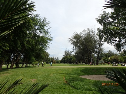 PB260129.JPG