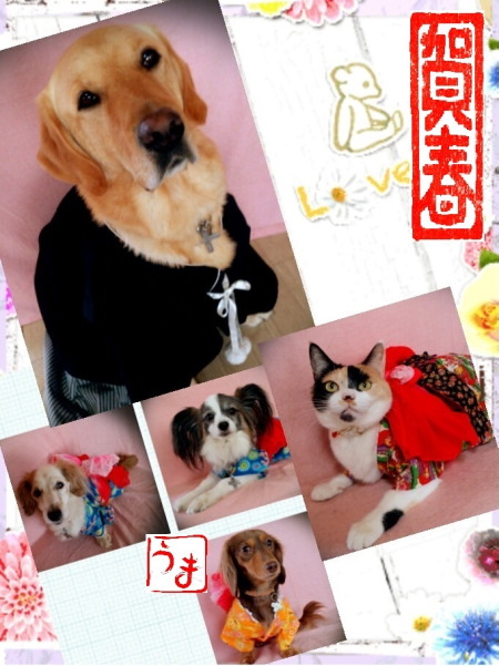 2014年賀hp2.jpg