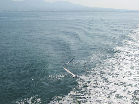 IMG_7783.jpg