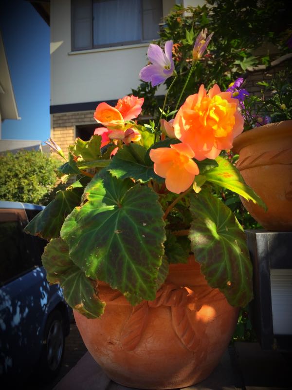 rblog-20151025172611-03.jpg