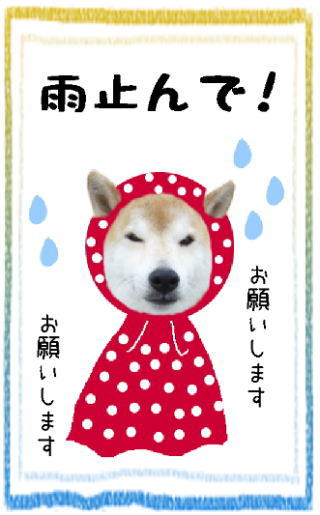0806雨2..jpg