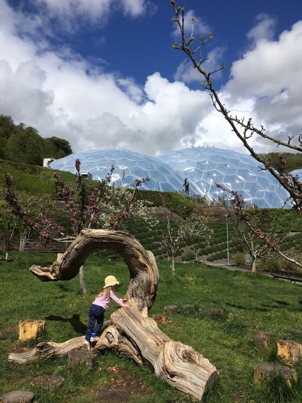 rblog-20190425203929-01.jpg