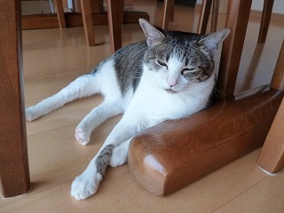 P1060720ss.jpg