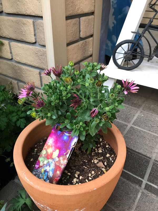 rblog-20190423182202-01.jpg