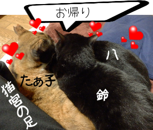P6070067.png