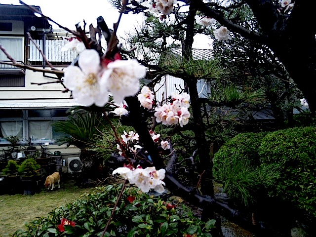 120324_131350.jpg