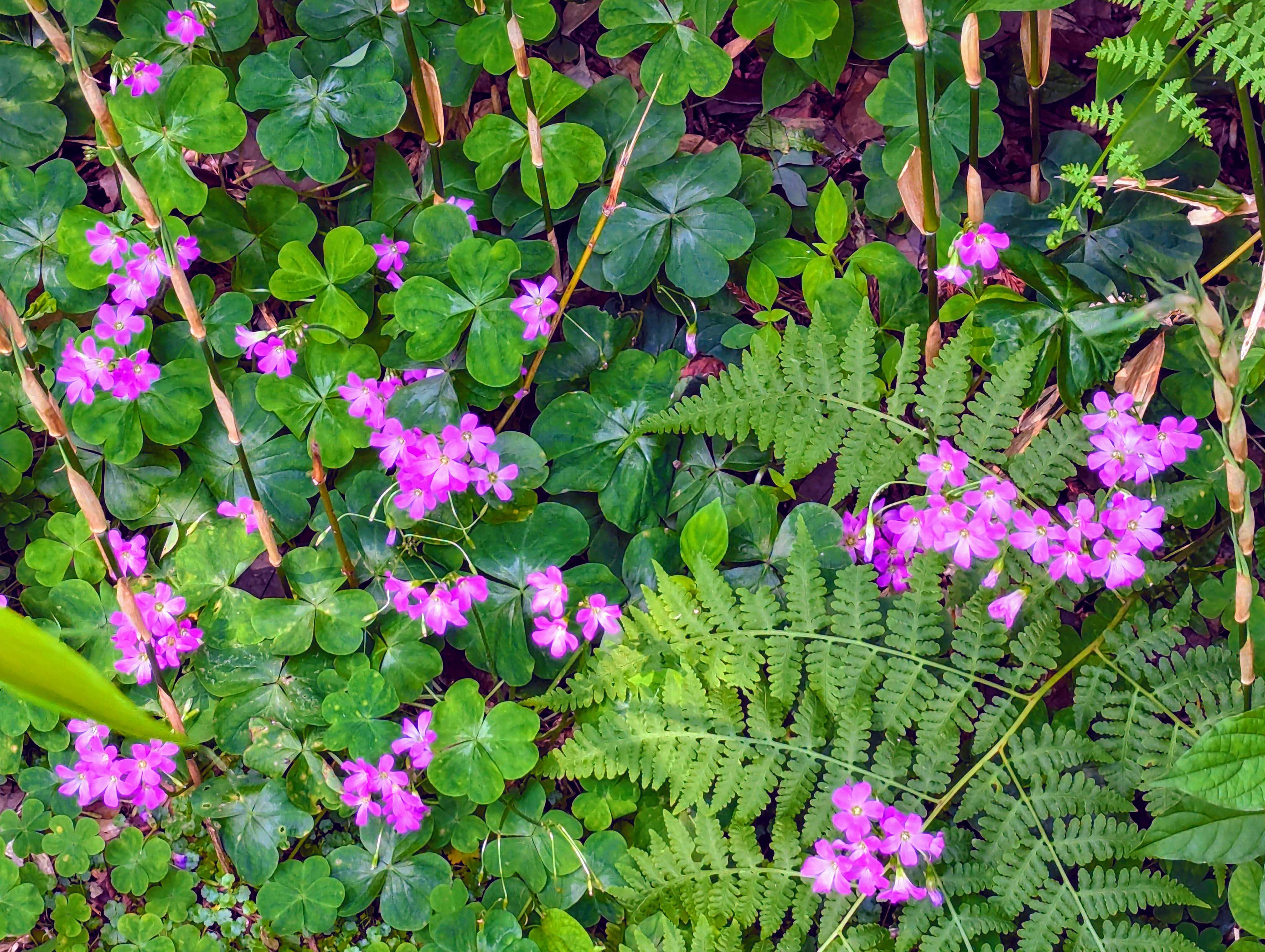 暮らしの達人 ～賃貸テラスハウス 3LDK メゾネット発～
