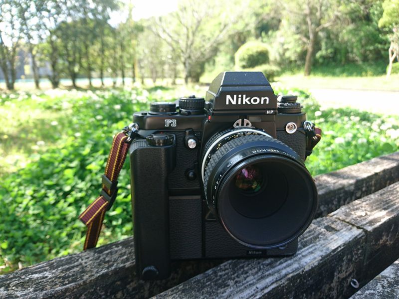 Nikon F3でマクロ撮影（もしてみた） | ロド丸のブログ - 楽天ブログ