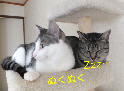 20120923_4.jpg
