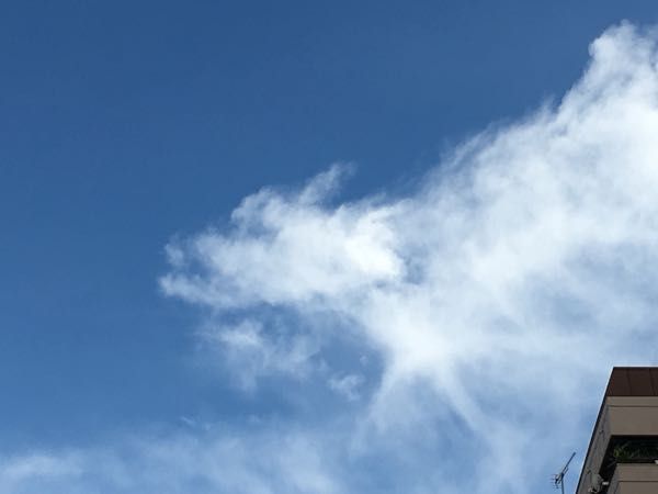 rblog-20170723110524-00.jpg