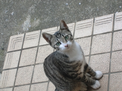 CIMG6706.JPG