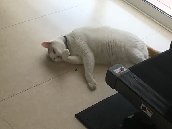 rblog-20180704061104-01.jpg