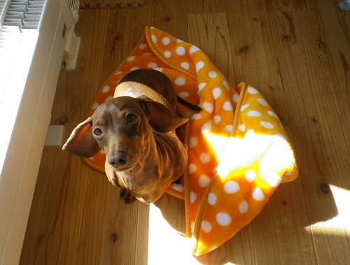 自分のことは、自分で