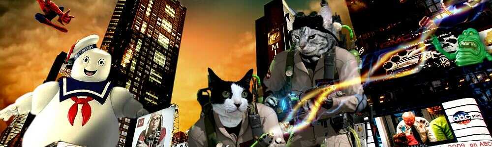 耳（ミミ）とチャッピの布団