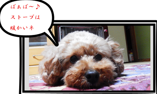 こころ６