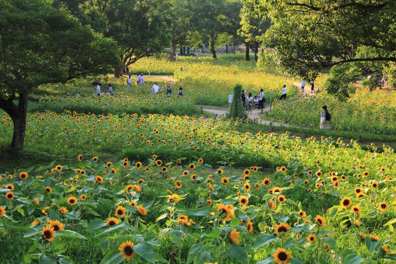 万博記念公園_004.jpg