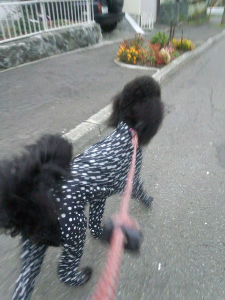 rblog-20131020172906-04.png