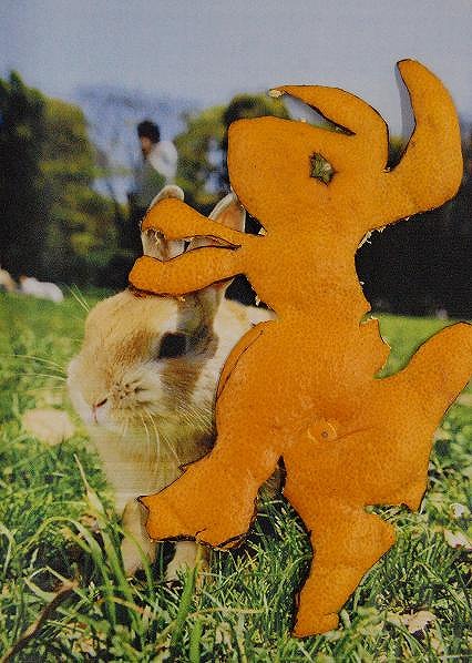 s-うさぎ.jpg