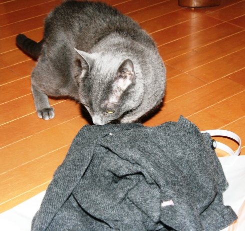 20140208ﾌｰ03.jpg