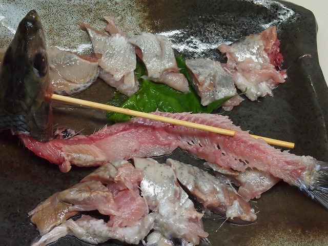 P1090018.jpg