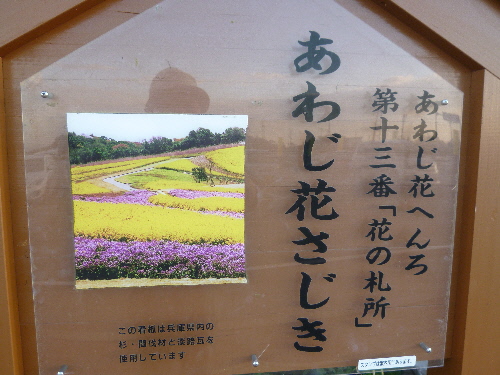 P1130195(1).JPG