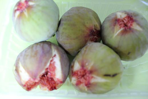 IMG_3003 - コピー.JPG