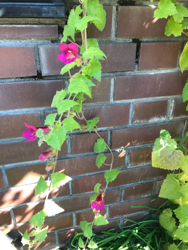 rblog-20181029111101-05.jpg