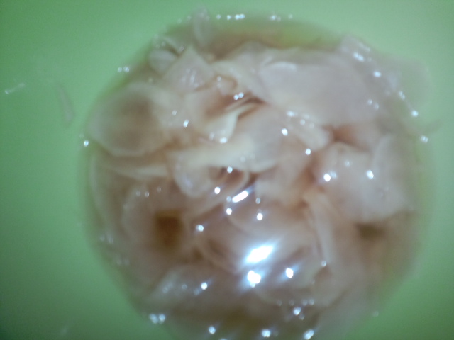 gari