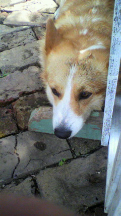 2012060111210000.jpg
