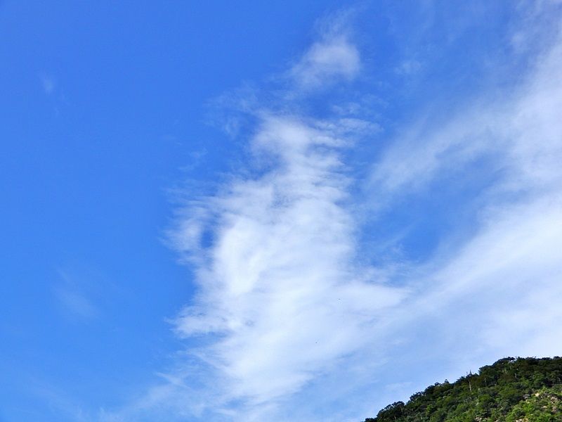 空3